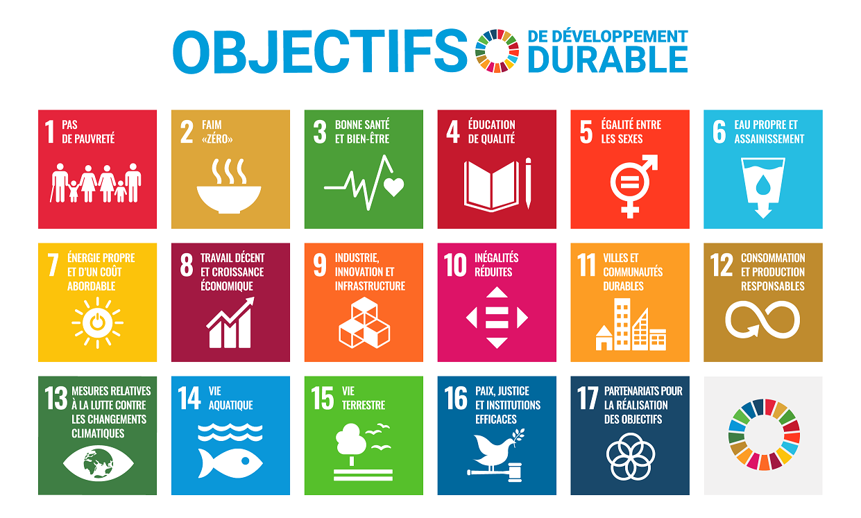 17 objectifs du développement durable de l'ONU